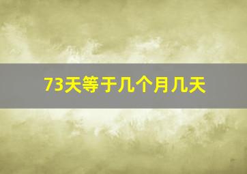 73天等于几个月几天