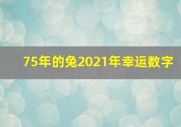 75年的兔2021年幸运数字