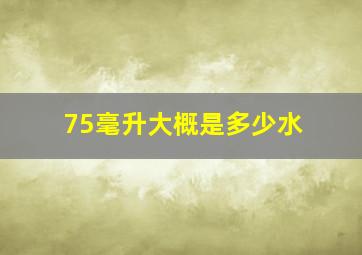 75毫升大概是多少水