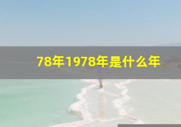 78年1978年是什么年