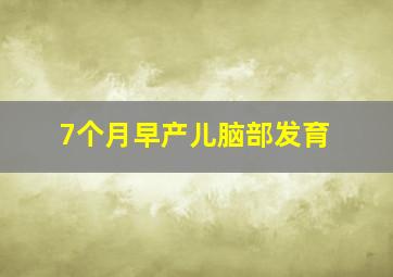 7个月早产儿脑部发育