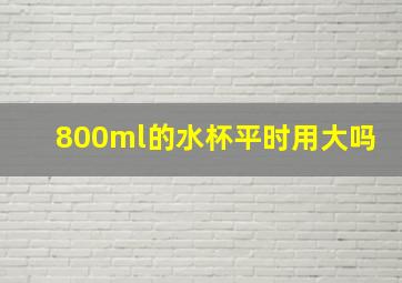 800ml的水杯平时用大吗