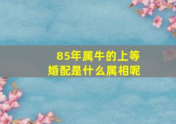 85年属牛的上等婚配是什么属相呢