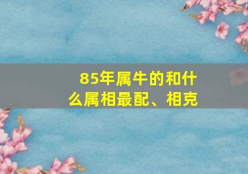 85年属牛的和什么属相最配、相克