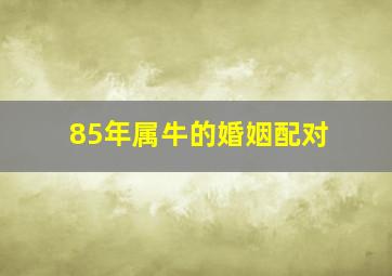 85年属牛的婚姻配对