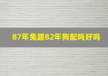 87年兔跟82年狗配吗好吗