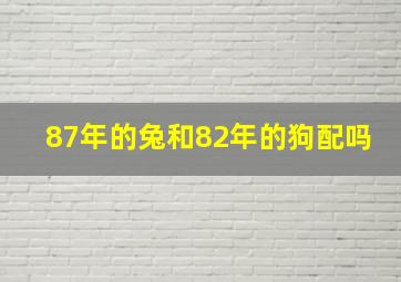 87年的兔和82年的狗配吗