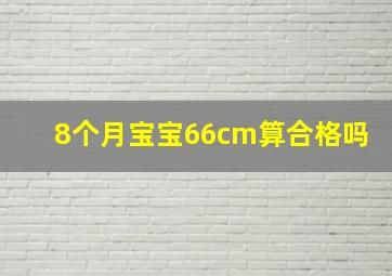 8个月宝宝66cm算合格吗