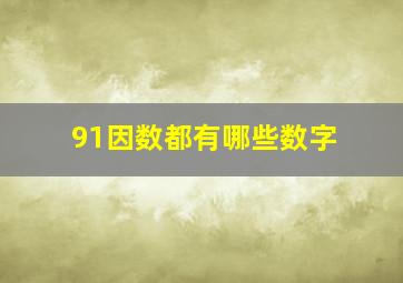 91因数都有哪些数字