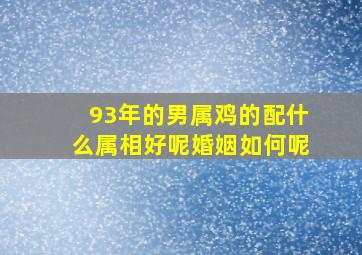 93年的男属鸡的配什么属相好呢婚姻如何呢