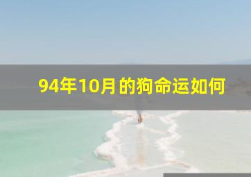 94年10月的狗命运如何