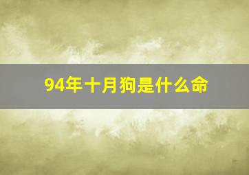 94年十月狗是什么命