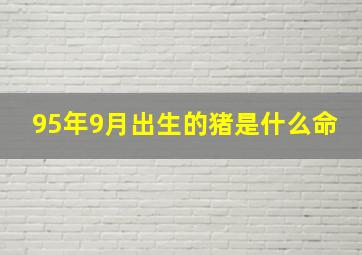 95年9月出生的猪是什么命