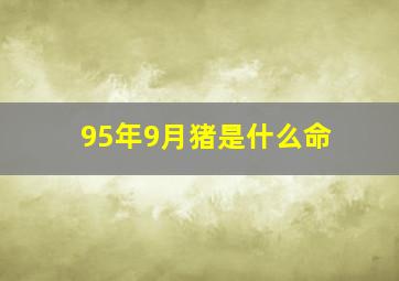 95年9月猪是什么命