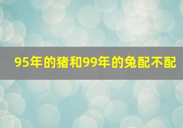 95年的猪和99年的兔配不配