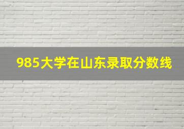 985大学在山东录取分数线