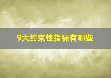 9大约束性指标有哪些