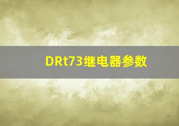 DRt73继电器参数