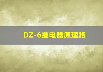 DZ-6继电器原理路