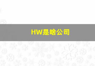 HW是啥公司