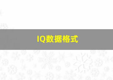 IQ数据格式