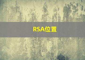 RSA位置