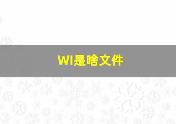 WI是啥文件