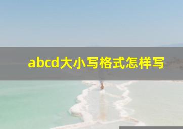 abcd大小写格式怎样写