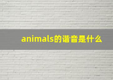 animals的谐音是什么