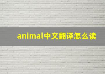 animal中文翻译怎么读