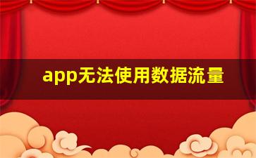 app无法使用数据流量