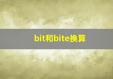 bit和bite换算