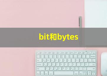 bit和bytes