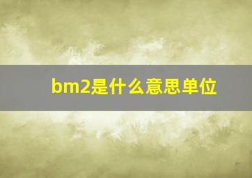 bm2是什么意思单位