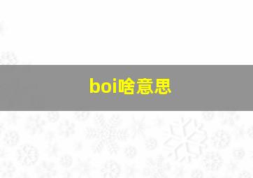 boi啥意思