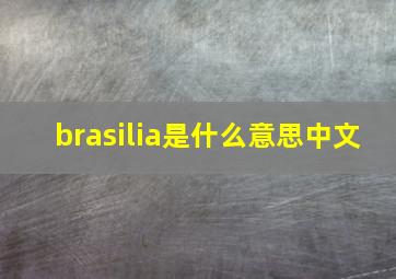 brasilia是什么意思中文