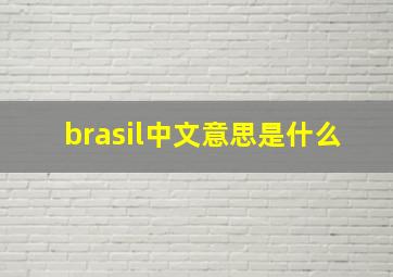 brasil中文意思是什么