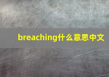 breaching什么意思中文