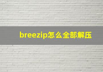 breezip怎么全部解压