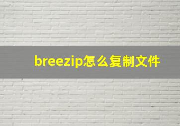 breezip怎么复制文件