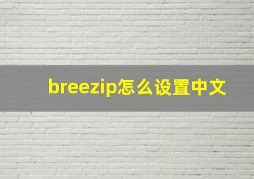 breezip怎么设置中文