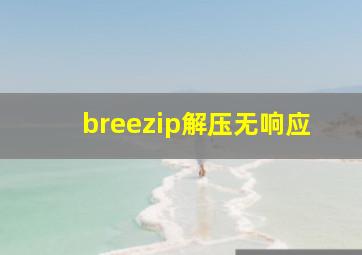 breezip解压无响应