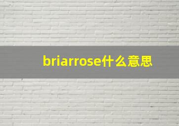 briarrose什么意思