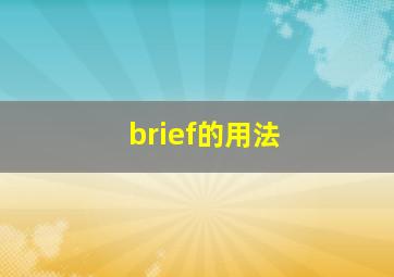 brief的用法