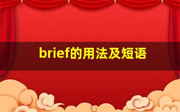 brief的用法及短语