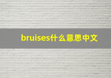 bruises什么意思中文