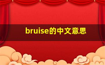 bruise的中文意思