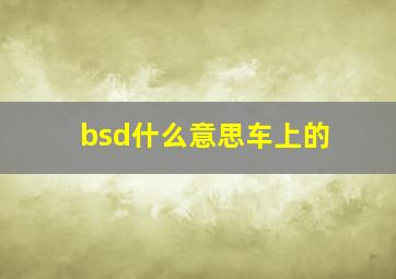 bsd什么意思车上的