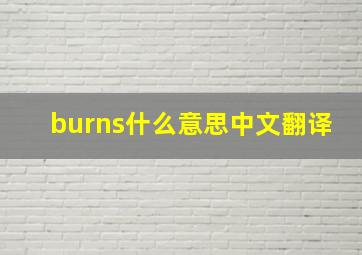 burns什么意思中文翻译