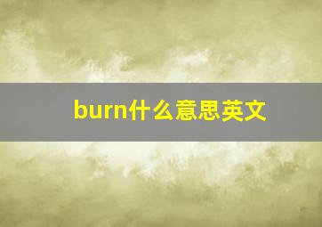 burn什么意思英文